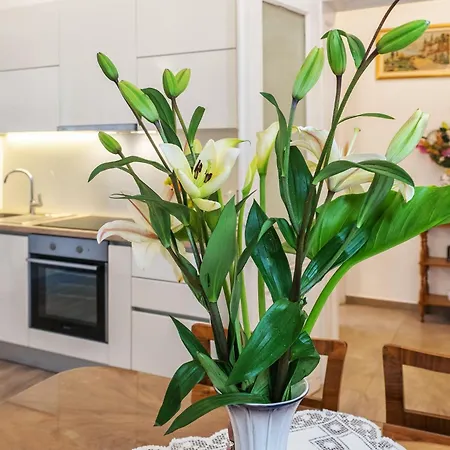 Center Secession Charm Near National Theatre Apartman Split