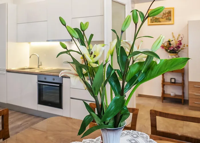 Center Secession Charm Near National Theatre アパート スプリト